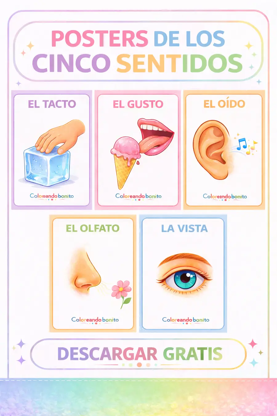 Posters de los cinco sentidos para niños imprimibles